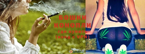 тгк Медвежьегорск