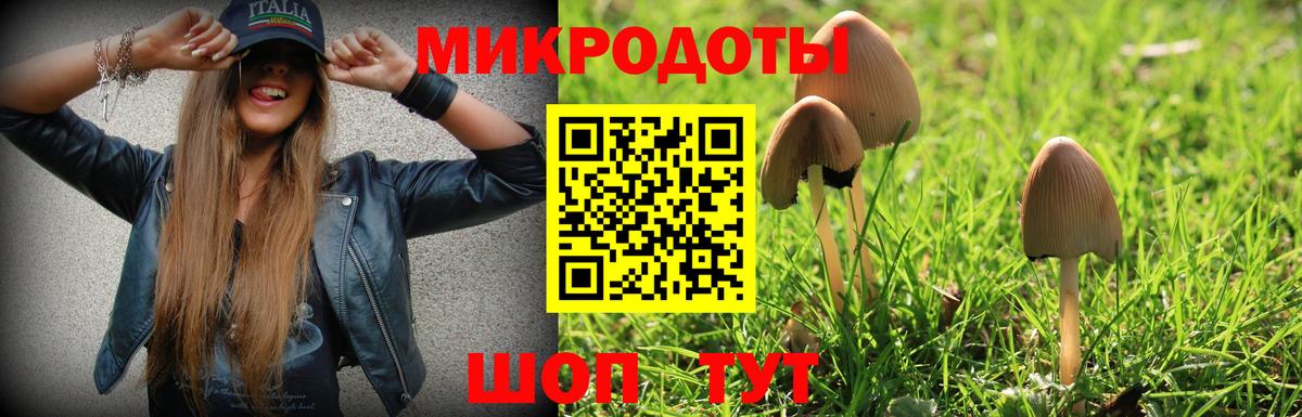 Галлюциногенные грибы GOLDEN TEACHER Шуя