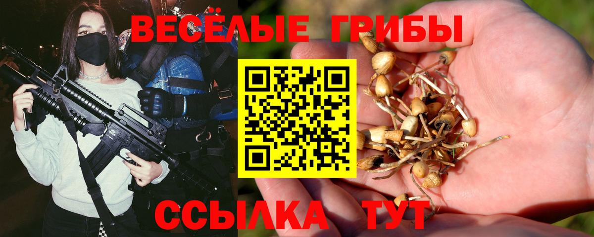 Шуя  хочу   Вход с VPN  Псилоцибиновые грибы Psilocybine cubensis 