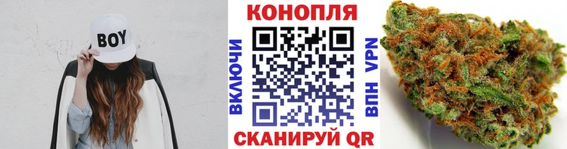 Бошки Шишки MAZAR OMG как войти Шуя